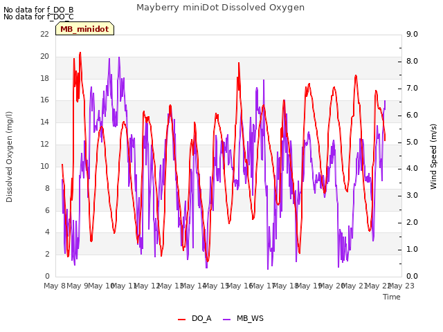 plot of Mayberry miniDot Dissolved Oxygen