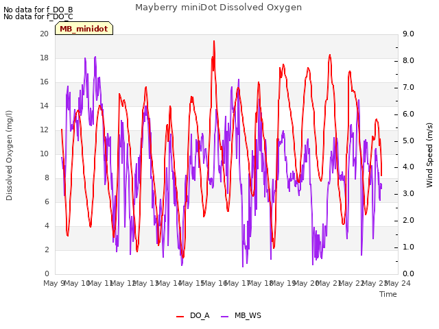 plot of Mayberry miniDot Dissolved Oxygen