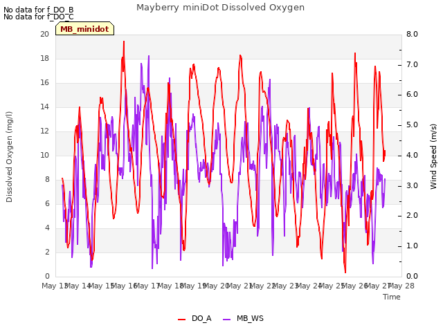 plot of Mayberry miniDot Dissolved Oxygen