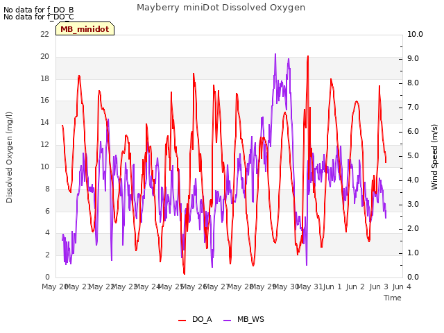 plot of Mayberry miniDot Dissolved Oxygen