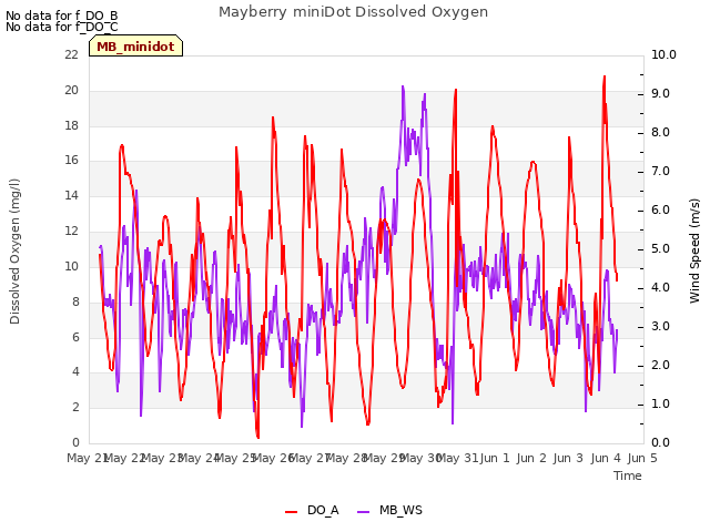 plot of Mayberry miniDot Dissolved Oxygen