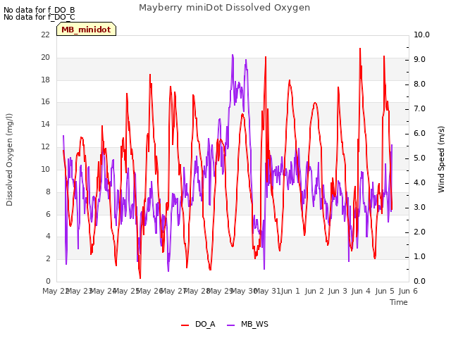 plot of Mayberry miniDot Dissolved Oxygen