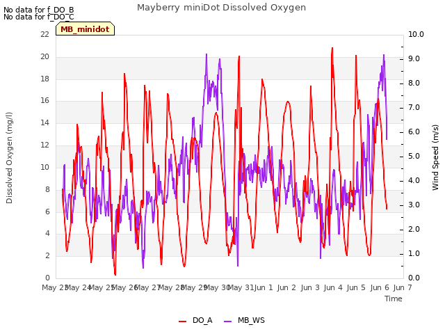 plot of Mayberry miniDot Dissolved Oxygen