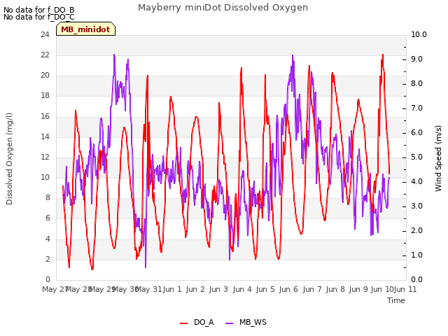 plot of Mayberry miniDot Dissolved Oxygen