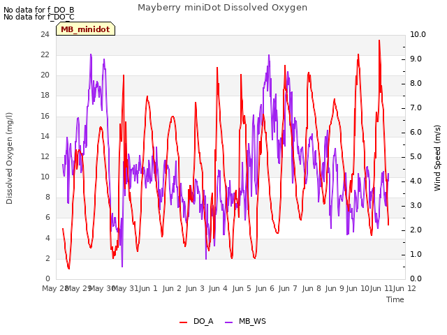 plot of Mayberry miniDot Dissolved Oxygen