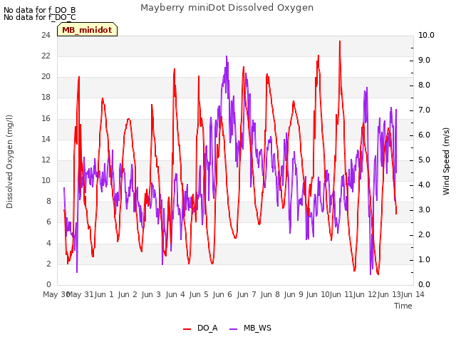 plot of Mayberry miniDot Dissolved Oxygen