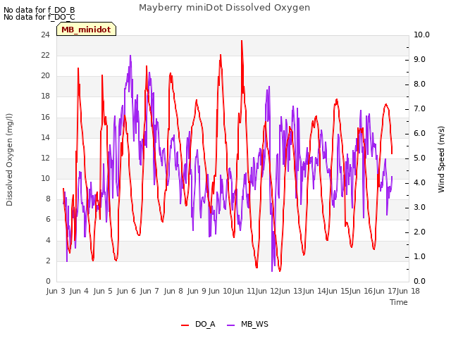 plot of Mayberry miniDot Dissolved Oxygen