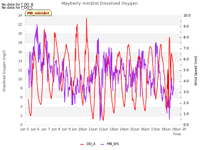 plot of Mayberry miniDot Dissolved Oxygen