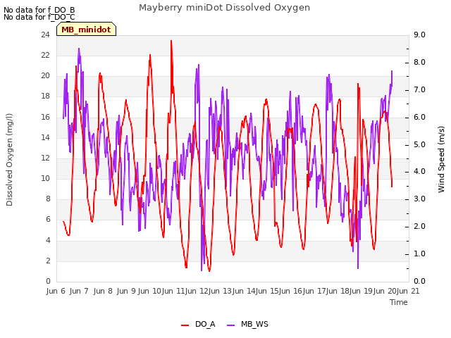 plot of Mayberry miniDot Dissolved Oxygen