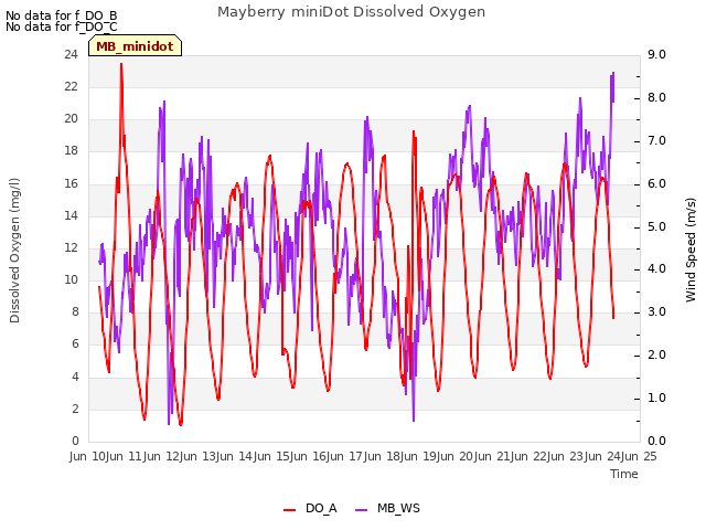 plot of Mayberry miniDot Dissolved Oxygen