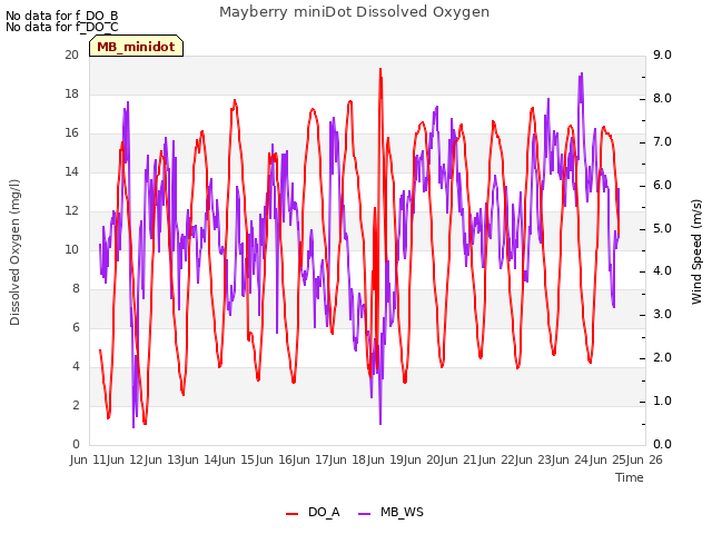 plot of Mayberry miniDot Dissolved Oxygen