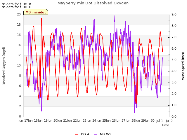 plot of Mayberry miniDot Dissolved Oxygen