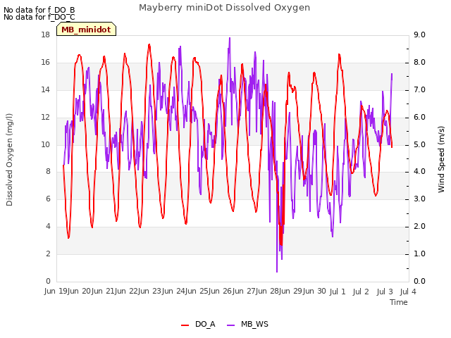 plot of Mayberry miniDot Dissolved Oxygen