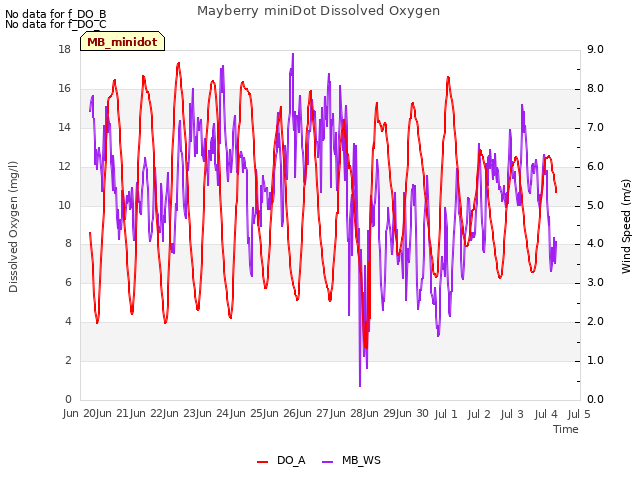 plot of Mayberry miniDot Dissolved Oxygen