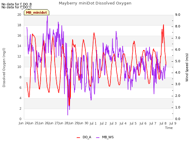 plot of Mayberry miniDot Dissolved Oxygen