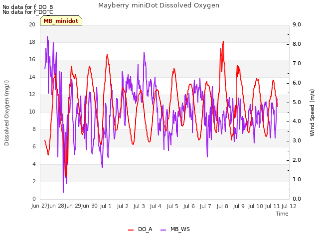 plot of Mayberry miniDot Dissolved Oxygen