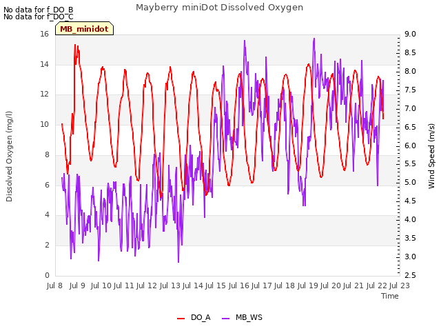 plot of Mayberry miniDot Dissolved Oxygen