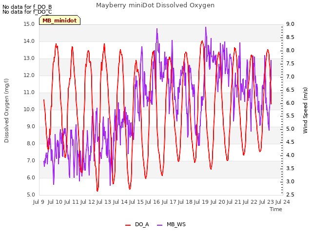 plot of Mayberry miniDot Dissolved Oxygen