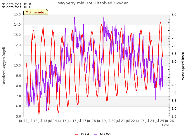 plot of Mayberry miniDot Dissolved Oxygen