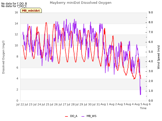 plot of Mayberry miniDot Dissolved Oxygen