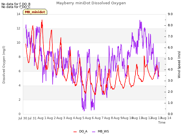 plot of Mayberry miniDot Dissolved Oxygen