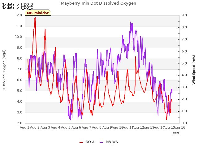 plot of Mayberry miniDot Dissolved Oxygen