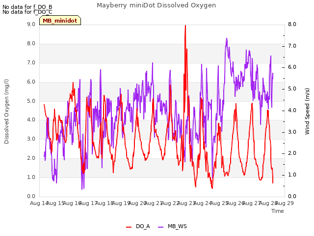 plot of Mayberry miniDot Dissolved Oxygen