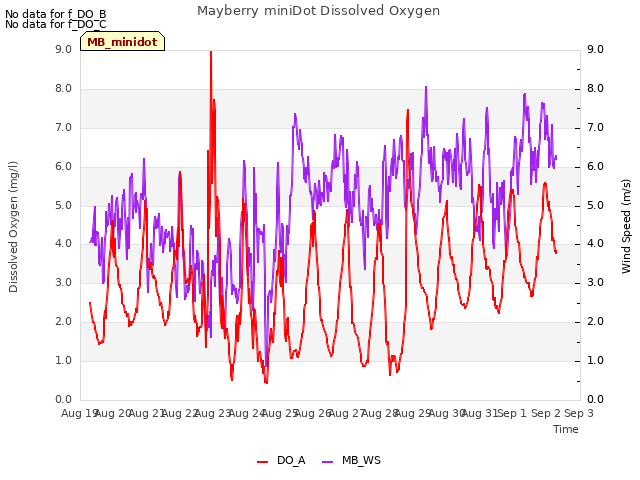 plot of Mayberry miniDot Dissolved Oxygen