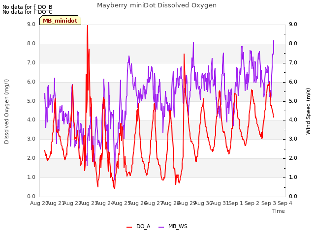 plot of Mayberry miniDot Dissolved Oxygen