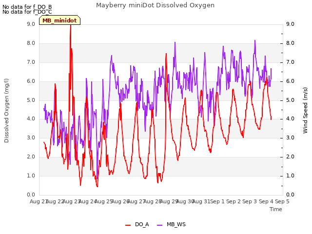 plot of Mayberry miniDot Dissolved Oxygen