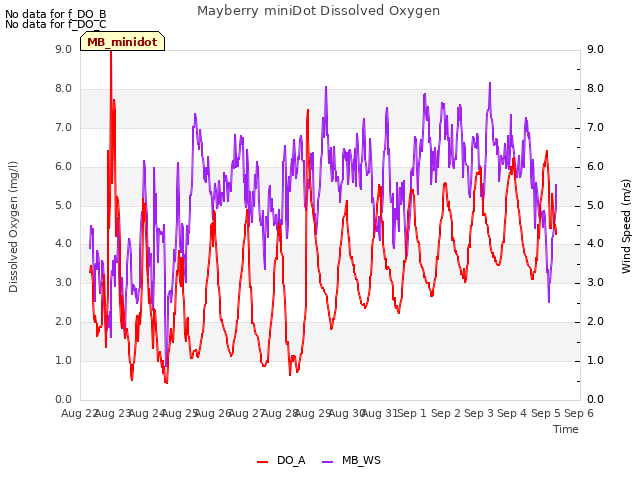 plot of Mayberry miniDot Dissolved Oxygen