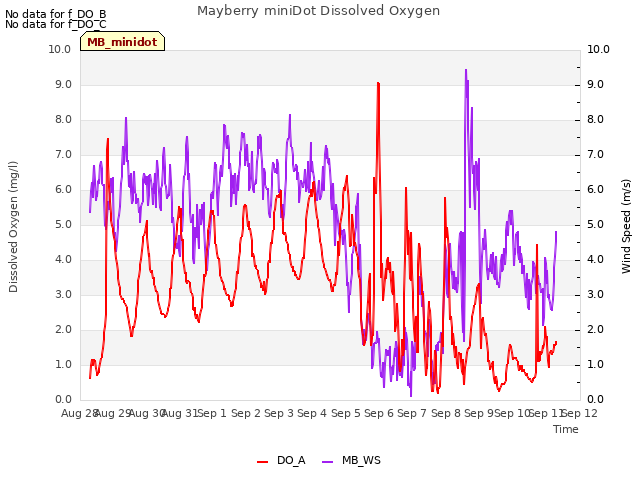 plot of Mayberry miniDot Dissolved Oxygen