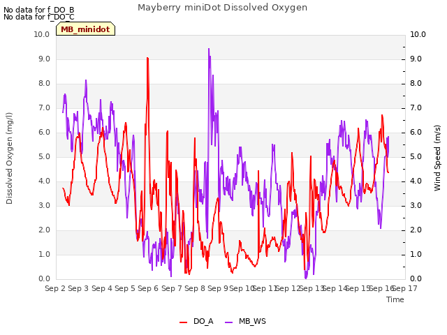 plot of Mayberry miniDot Dissolved Oxygen