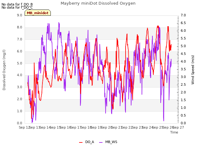 plot of Mayberry miniDot Dissolved Oxygen