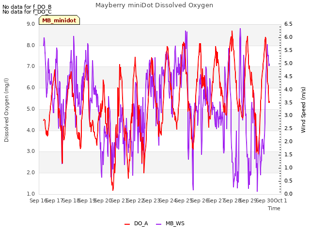 plot of Mayberry miniDot Dissolved Oxygen