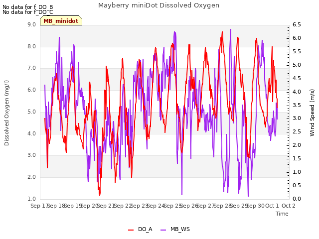 plot of Mayberry miniDot Dissolved Oxygen