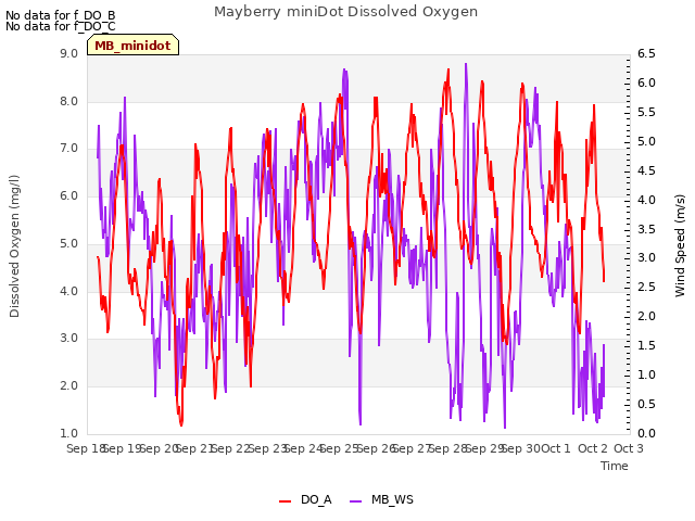 plot of Mayberry miniDot Dissolved Oxygen