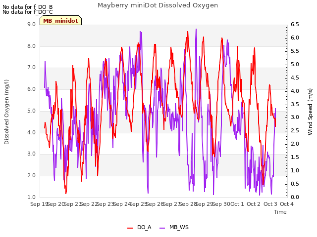 plot of Mayberry miniDot Dissolved Oxygen