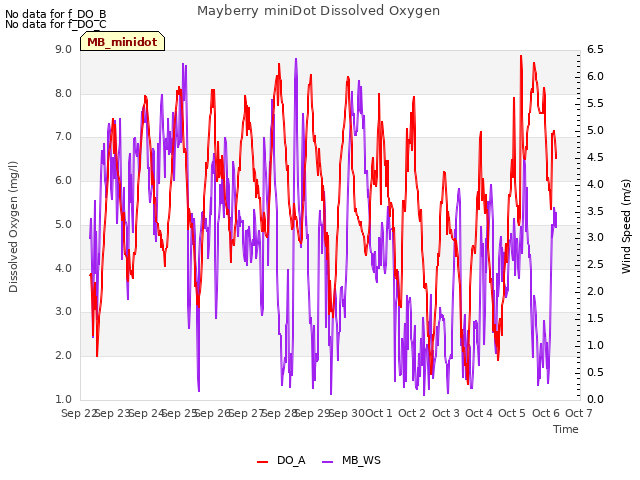 plot of Mayberry miniDot Dissolved Oxygen