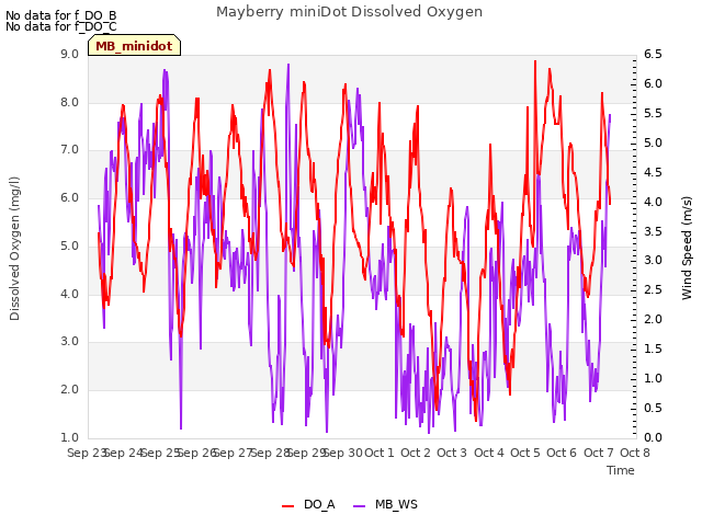 plot of Mayberry miniDot Dissolved Oxygen