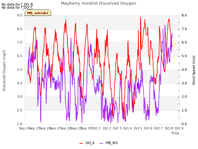 plot of Mayberry miniDot Dissolved Oxygen