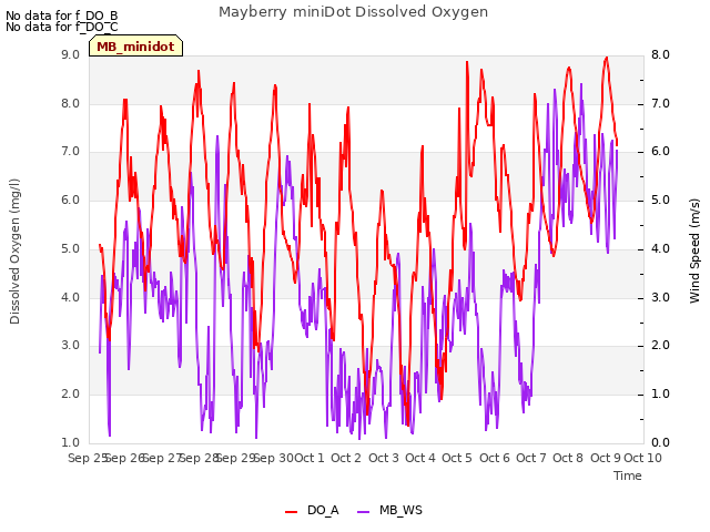 plot of Mayberry miniDot Dissolved Oxygen