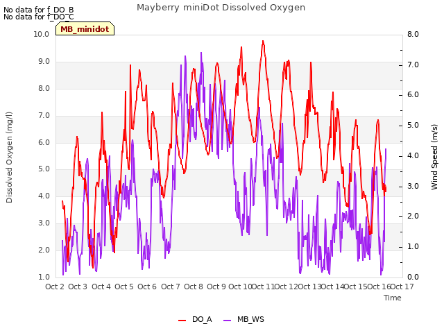 plot of Mayberry miniDot Dissolved Oxygen