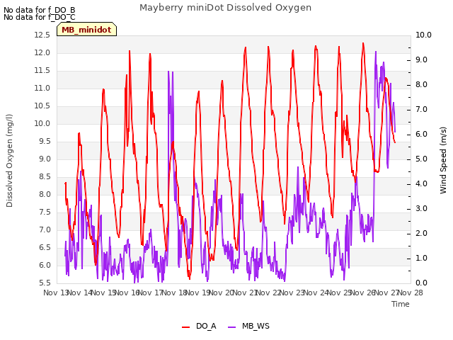 plot of Mayberry miniDot Dissolved Oxygen