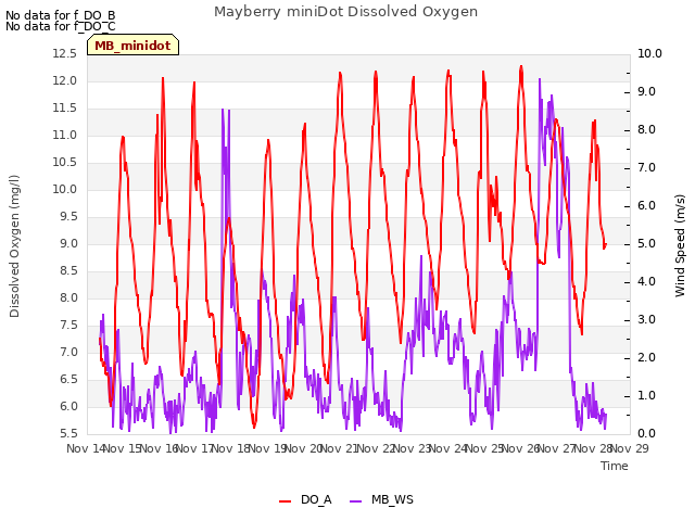 plot of Mayberry miniDot Dissolved Oxygen