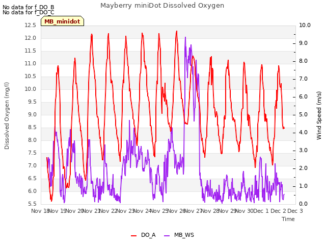 plot of Mayberry miniDot Dissolved Oxygen