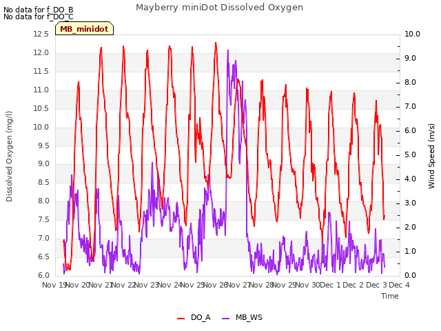 plot of Mayberry miniDot Dissolved Oxygen