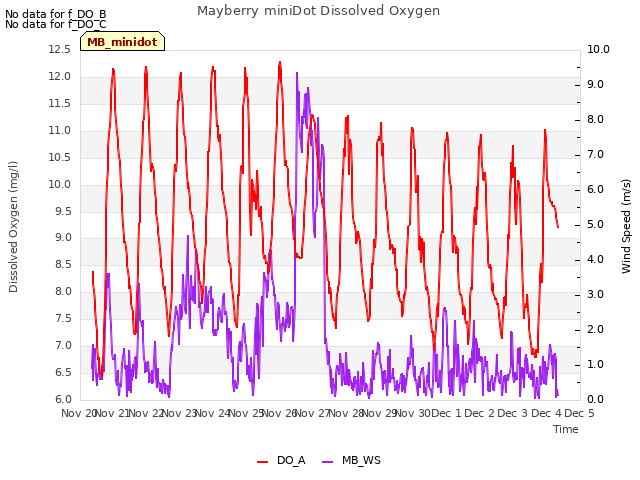 plot of Mayberry miniDot Dissolved Oxygen