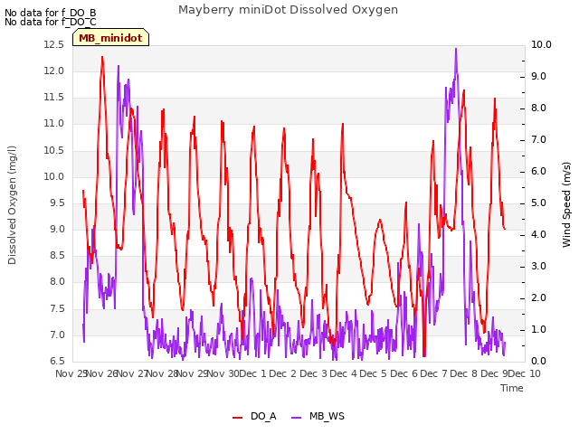 plot of Mayberry miniDot Dissolved Oxygen