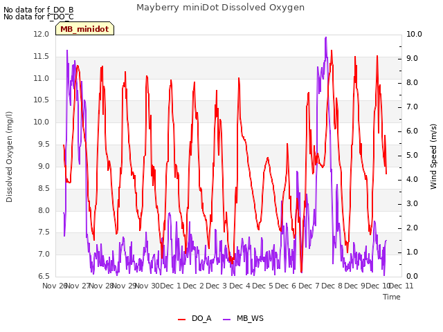 plot of Mayberry miniDot Dissolved Oxygen